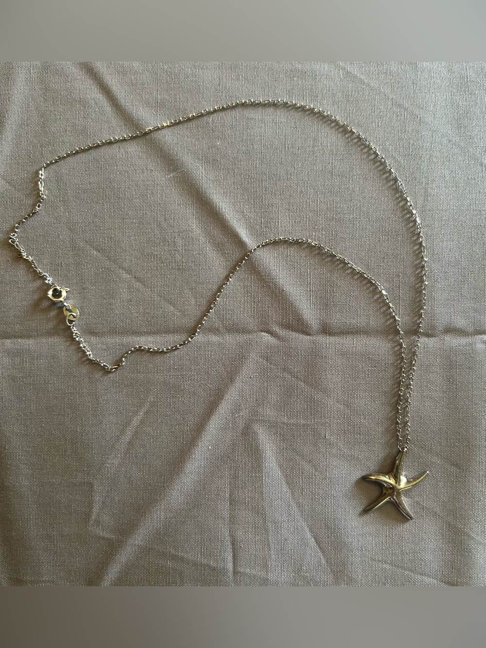 Starfish Pendant Necklace in Silver